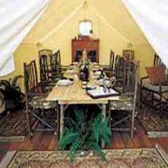 Royal Safari Camp, Pushkar 1
